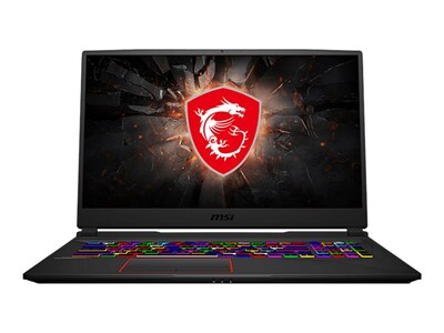 MSI GE75 10SF 484 Raider 17.3 Laptop, Intel i7, 16GB Memory, 512GB SSD + 1TB HDD, Windows 10 (GE75484)