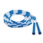 Champion Sports® Plastic Segmented Jump Rope, Blue/White, 9'