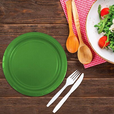 JAM PAPER Round Paper Party Plates, Medium, 9 Inch, Green, 50/pack