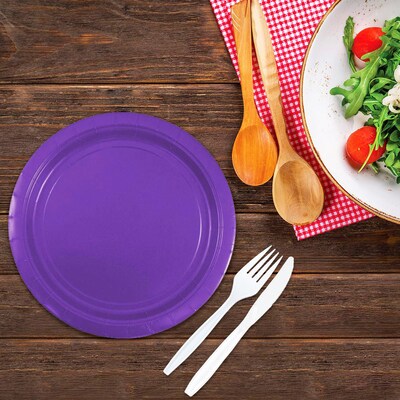 JAM PAPER Round Paper Party Plates, Medium, 9 Inch, Purple, 50/pack