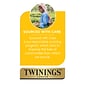 Twinings Cold Brewed Mint Tea Bags, 20/Box (F07413)