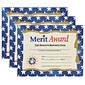 Hayes Publishing Merit Award Certificate, 8.5" x 11", 30 Per Pack, 3 Packs (H-VA507-3)