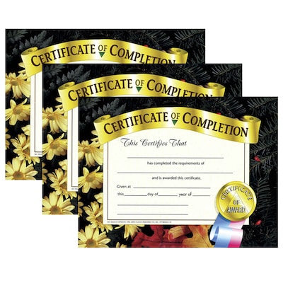 Hayes Publishing Certificate of Completion, 8.5" x 11", 30/Pack, 3 Packs (H-VA524-3)