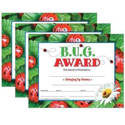 Hayes Publishing B.U.G. Award, 30 Per Pack, 3 Packs (H-VA591-3)