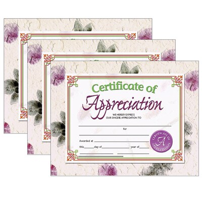 Hayes Publishing Certificate of Appreciation, 30/Pack, 3 Packs (H-VA614-3)