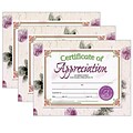 Hayes Publishing Certificate of Appreciation, 30/Pack, 3 Packs (H-VA614-3)