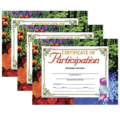 Hayes Publishing Certificate of Participation, 8.5 x 11, 30 Per Pack, 3 Packs (H-VA633-3)
