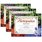 Hayes Publishing Certificate of Participation, 8.5" x 11", 30 Per Pack, 3 Packs (H-VA633-3)