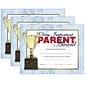 Hayes Publishing Very Important Parent Award, 8.5" x 11", 30/Pack, 3 Packs (H-VA641-3)