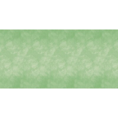 Fadeless Bulletin Board Art Paper, 48 x 50, Color Wash Mint (PAC57055)