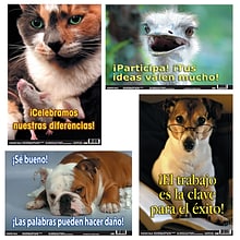 Poster Pals Spanish Fun Photo Posters, Set #10, 4 Poster Set (PSZBB10)