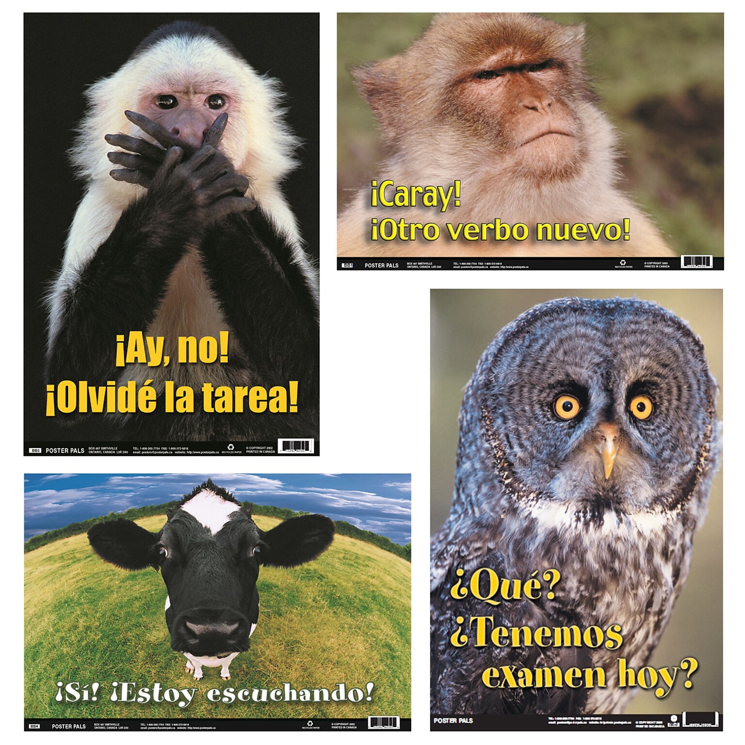 Poster Pals Spanish Fun Photo Posters, Set #5, 4 Poster Set (PSZBB5)