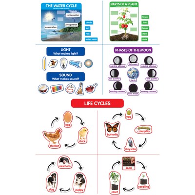 Scholastic Early Science Concepts Bulletin Board Set (SC-862624)