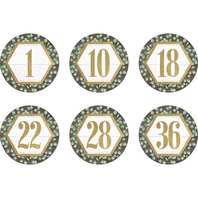 Teacher Created Resources® Spot On® Floor Markers Eucalyptus Numbers 1-36, 4, Multicolored, Pack of 36 (TCR77532)
