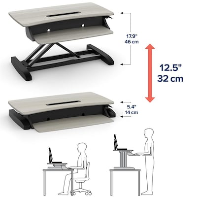 Ergotron WorkFit-Z Mini Adjustable Standing Desk Converter, Gray Woodgrain (33-458-917)