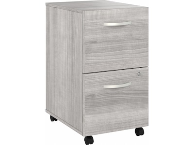 Bush Business Furniture Hybrid 2-Drawer Mobile Vertical File Cabinet, Letter/Legal Size, Lockable, P