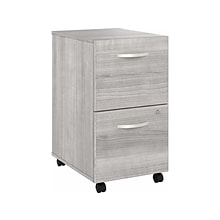 Bush Business Furniture Hybrid 2-Drawer Mobile Vertical File Cabinet, Letter/Legal Size, Lockable, P