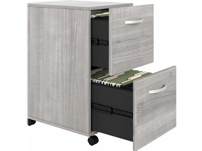 Bush Business Furniture Hybrid 2-Drawer Mobile Vertical File Cabinet, Letter/Legal Size, Lockable, Platinum Gray (HYF116PGSU-Z)