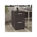 Bush Business Furniture Hybrid 2-Drawer Mobile Vertical File Cabinet, Letter/Legal Size, Lockable, S