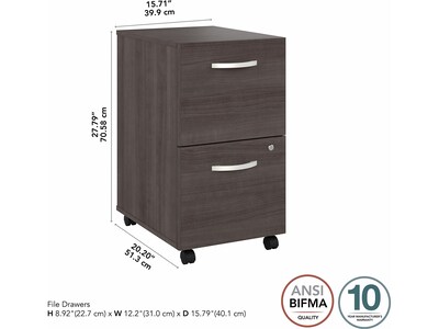 Bush Business Furniture Hybrid 2-Drawer Mobile Vertical File Cabinet, Letter/Legal Size, Lockable, Storm Gray (HYF116SGSU-Z)