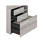 Bush Business Furniture Hybrid 2-Drawer Lateral File Cabinet with Shelves, Letter/Legal, Platinum Gray, 36" (HYB018PGSU)