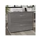 Bush Business Furniture Hybrid 2-Drawer Lateral File Cabinet, Letter/Legal, Platinum Gray, 36" (HYF136PGSU-Z)
