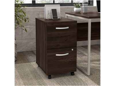 Bush Business Furniture Hybrid 2-Drawer Mobile Vertical File Cabinet, Letter/Legal Size, Lockable, B