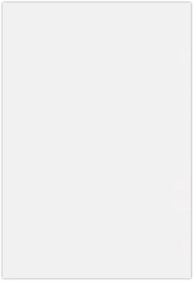 LUX 13 x 19 Cardstock 50/Pack, Bright White (1319-C-CW-50)