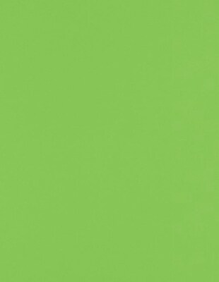 LUX 8 1/2 x 11 Cardstock 50/Pack, Limelight (81211-C-199-50)