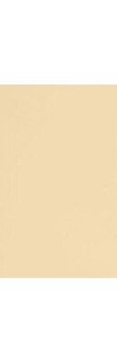 LUX 8 1/2 x 14 Cardstock 250/Pack, Nude (81214-C-L07-250)