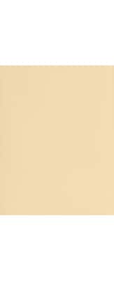 LUX 8 1/2 x 11 Cardstock 50/Pack, Nude (81211-C-L07-50)