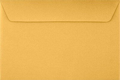 LUX Self Seal Booklet Envelope, 6 x 9, Brown Kraft, 500/Pack (26949-500)