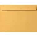 LUX Self Seal Booklet Envelope, 9 1/2 x 12 5/8, Brown Kraft, 50/Pack (16139-50)