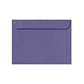 LUX 9 x 12 Booklet Envelopes 500/Pack, Wisteria (LUX4899106500)