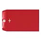 LUX Self Seal Catalog Envelope, 9" x 12", Ruby Red, 100/Pack (67781-100)