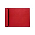 LUX 9 x 12 Open End Envelopes 50/Pack, Ruby Red (EX4894-18-50)