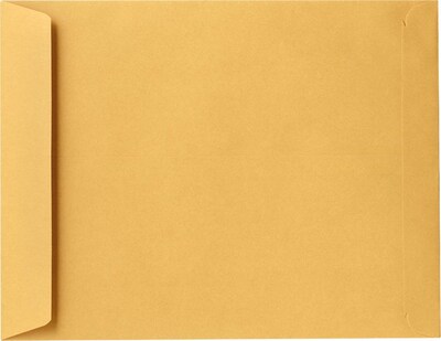 LUX Self Seal Currency Envelope, 14 x 18, 28lb. Brown Kraft, 250/Pack (85629-250)