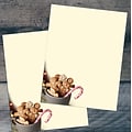 Great Papers Cup of Cheer Candy Cane and Gingerbread Cookies Christmas Letterhead, Multicolor, 50/Pa