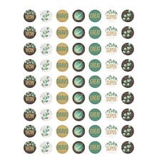 Teacher Created Resources® Eucalyptus Mini Stickers, 378/Pack, 12 Packs (TCR8478-12)