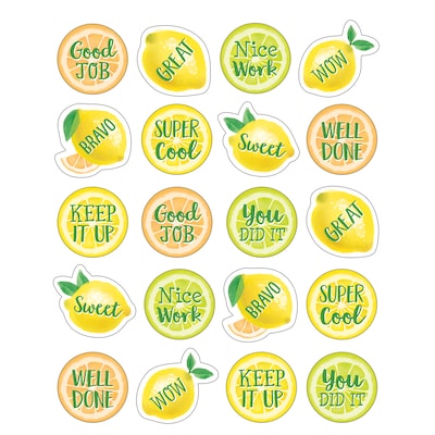 Teacher Created Resources® Lemon Zest Stickers, 120/Pack, 12 Packs (TCR8484-12)