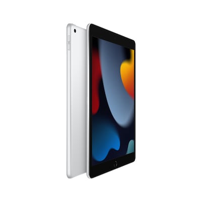 Apple iPad 10.2" Tablet, 256GB, WiFi + Cellular, 9th Generation, Silver (MK6A3LL/A)
