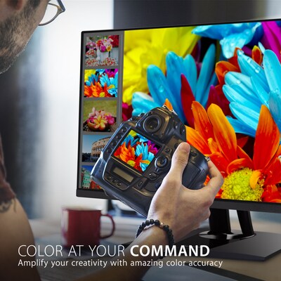 ViewSonic ColorPro 27 4K Ultra HD 60Hz LED Monitor, Black (VP2756-4K)