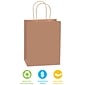 Staples® 10.25" x 4.5" Kraft Paper Shopping Bags, Kraft, 250/Carton (BGS103K)