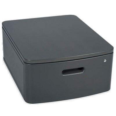 Lexmark 3073173 Swivel Cabinet