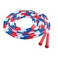 Champion Sports Plastic Segmented Jump Rope 16', Pack of 6 (CHSPR16-6)