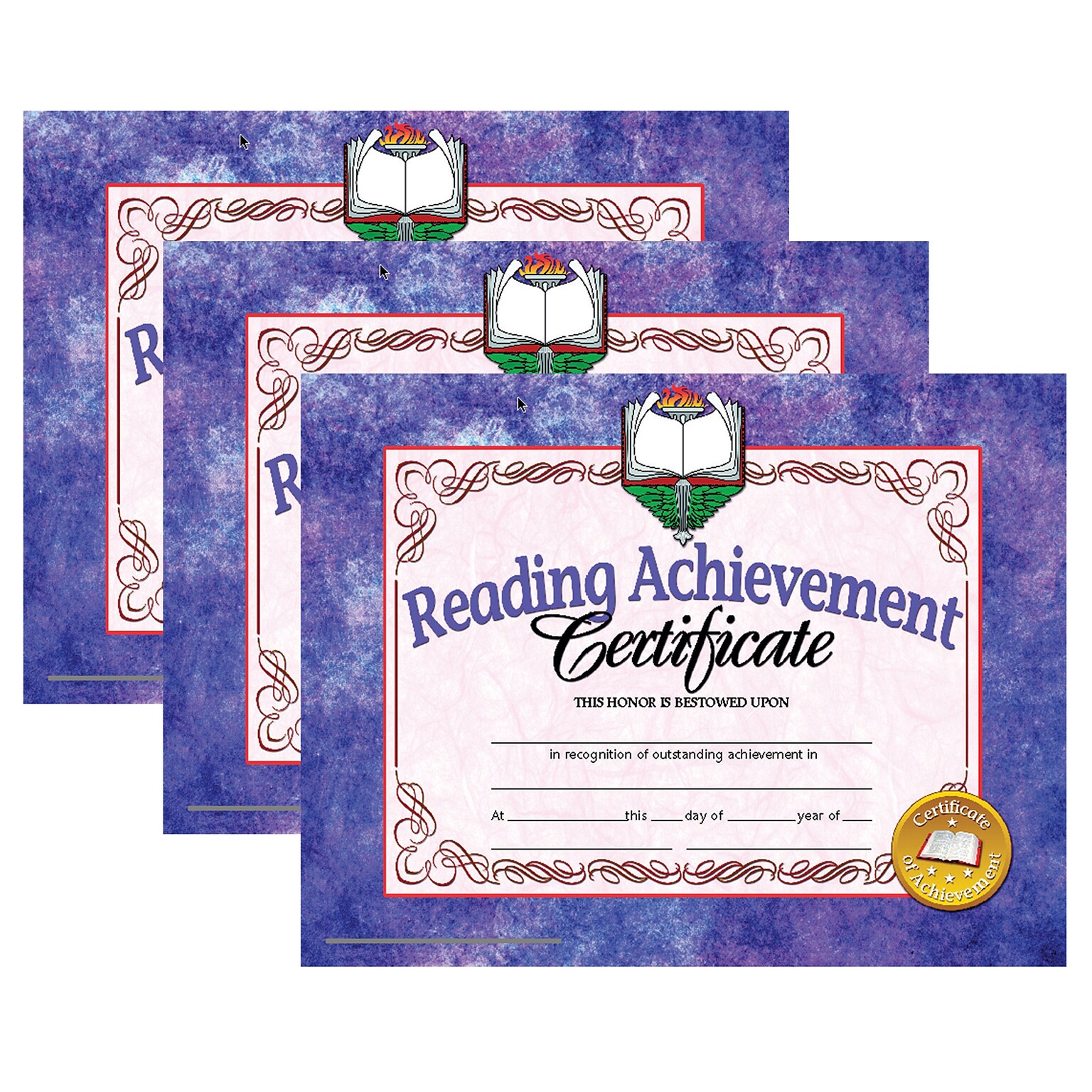 Hayes Publishing Certificate, 8.5 x 11, Reading Achievement, 30 Per Pack, 3 Packs (H-VA677-3)