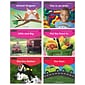 Early Rising Readers Set 3: Nonfiction, Level A by Newmark Learning, Set of 12 Paperback Readers (9781478872351)