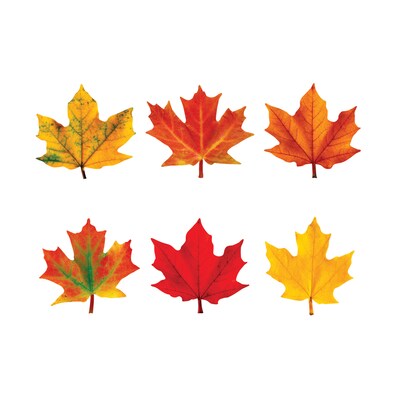 Trend Enterprises Maple Leaves Mini Accents Variety Pack, 36/Pack, 6 Packs (T-10836-6)