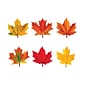 TREND Maple Leaves Mini Accents Variety Pack, 36/Pack, 6 Packs (T-10836-6)
