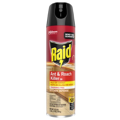 Raid Ant & Roach Killer 26 Aerosol for Ants & Roaches, Fragrance Free, 17.5 oz (697318)